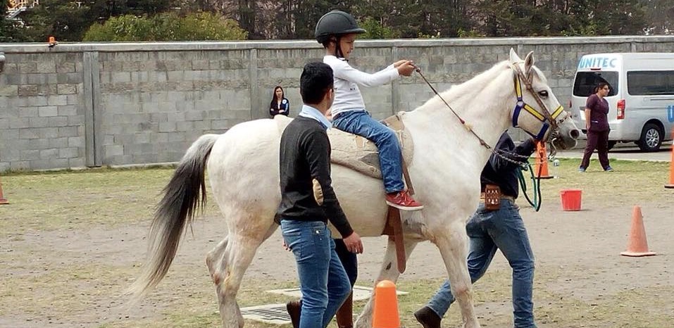 ¡Con buena pata!!  Caballos que curan