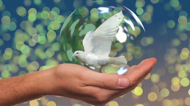 Día Internacional de la Paz: por la armonía con la naturaleza