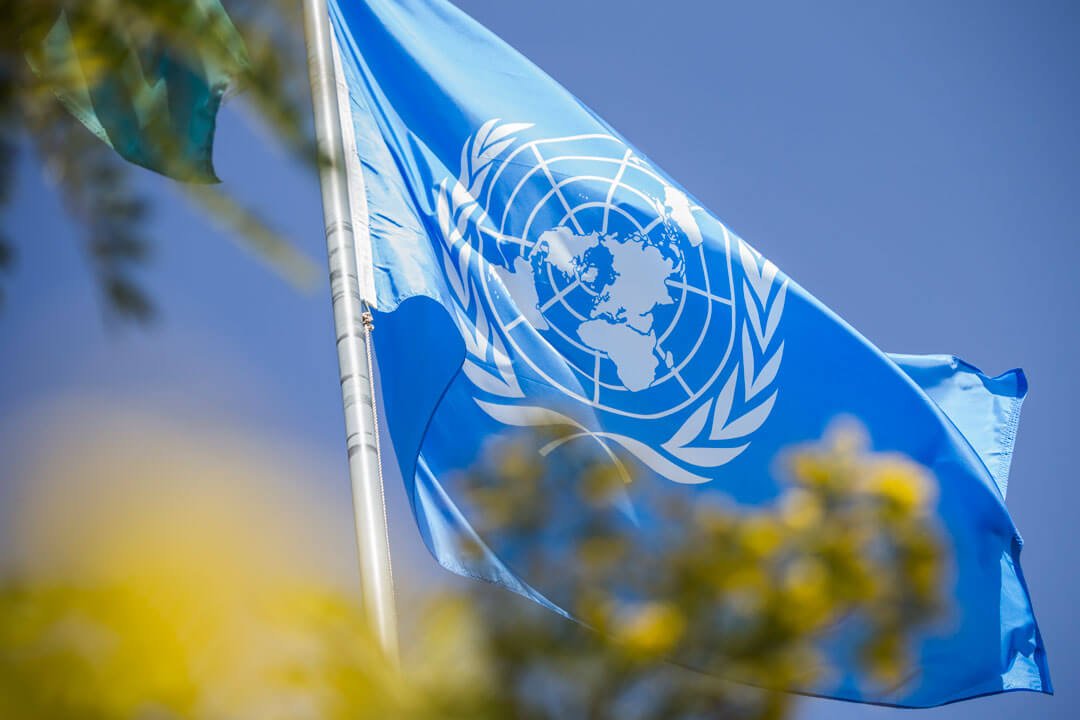 Día de las Naciones Unidas: Buscando la paz