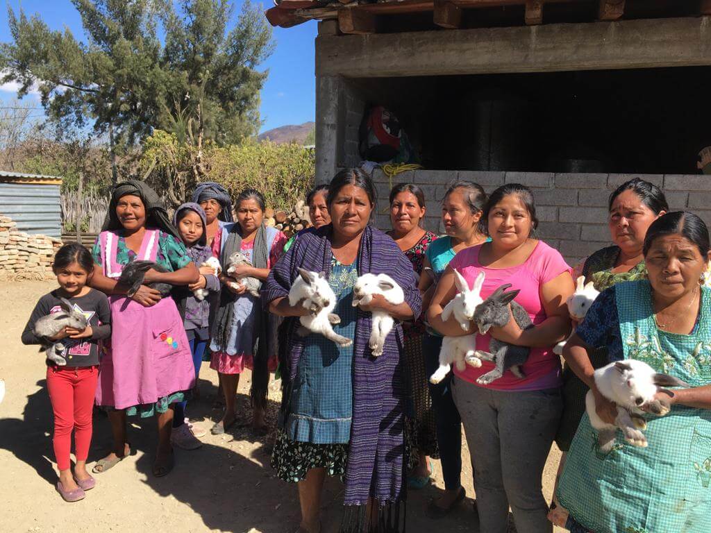 Familias campesinas junto con Grupedsac convocan a eco-tequio en Oaxaca