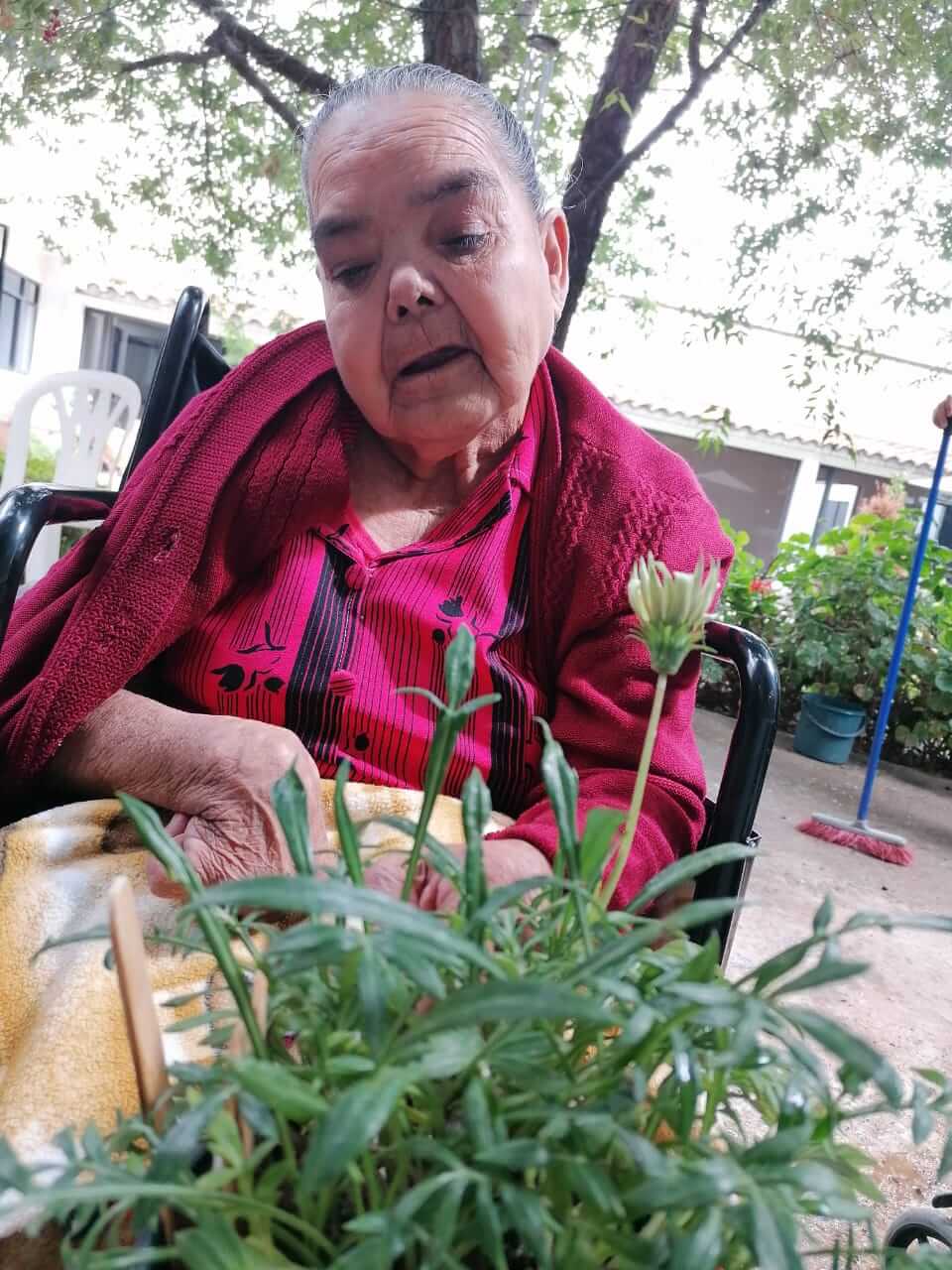 Rosa Loroño: Un hogar cálido para la etapa de la sabiduría