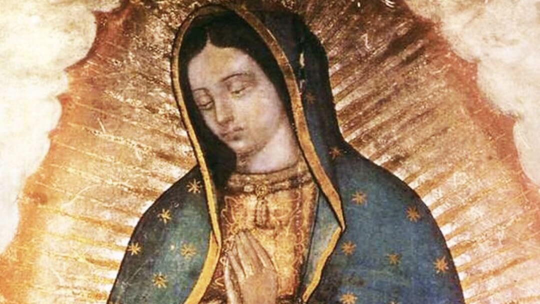 Bajo el manto de nuestra Madre de Guadalupe