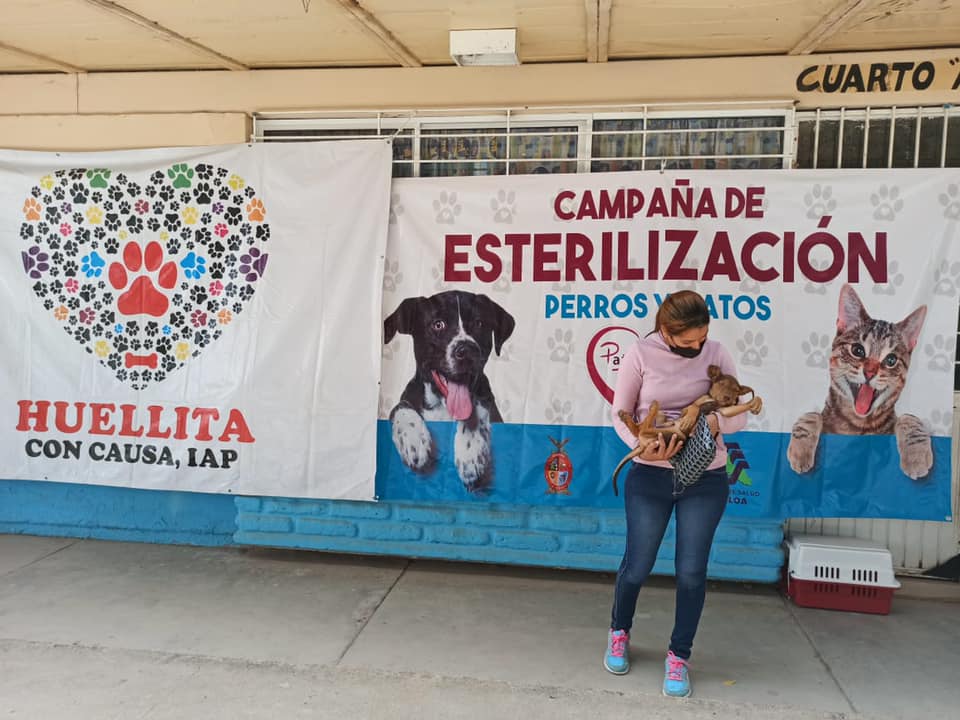 Desde Sinaloa buscan una huella de esperanza