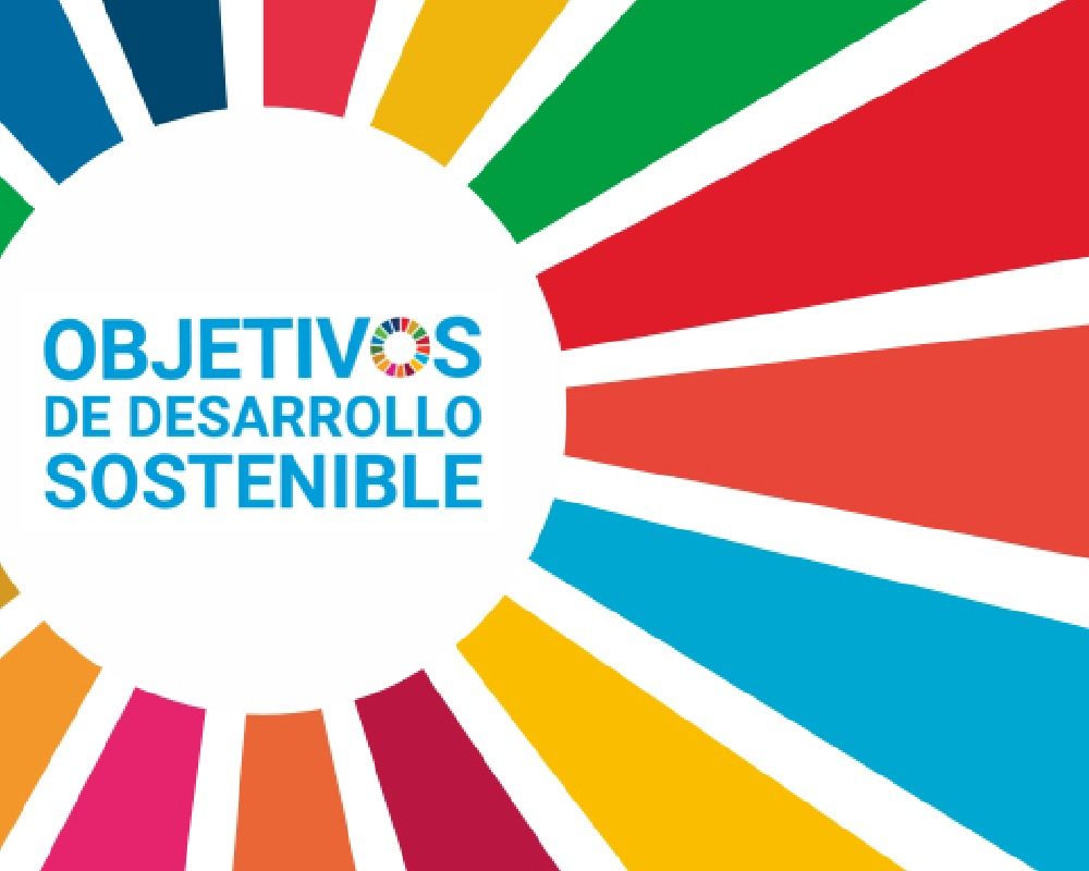 Las OSC y los Objetivos del Desarrollo Sostenible de la ONU, su indispensable aportación