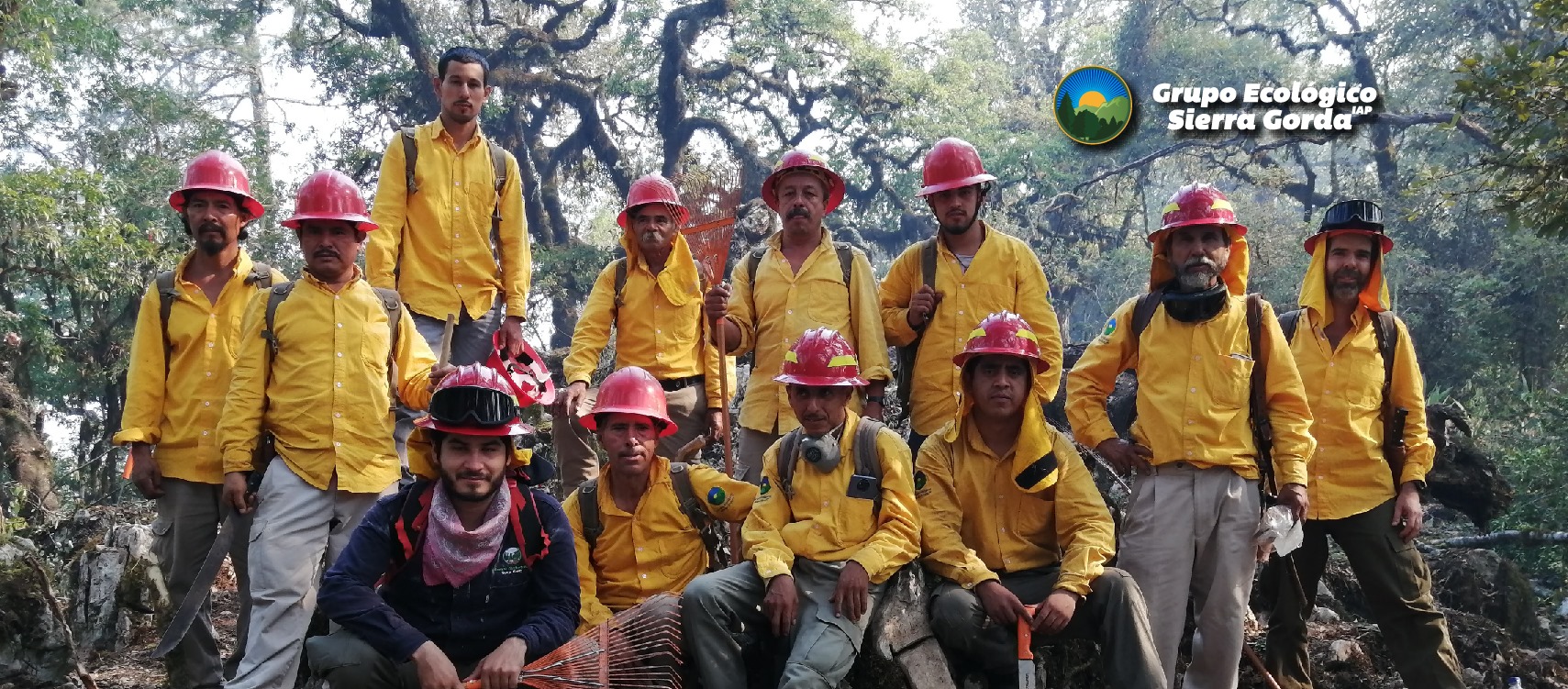 Grupo Ecológico Sierra Gorda IAP la semilla del cambio