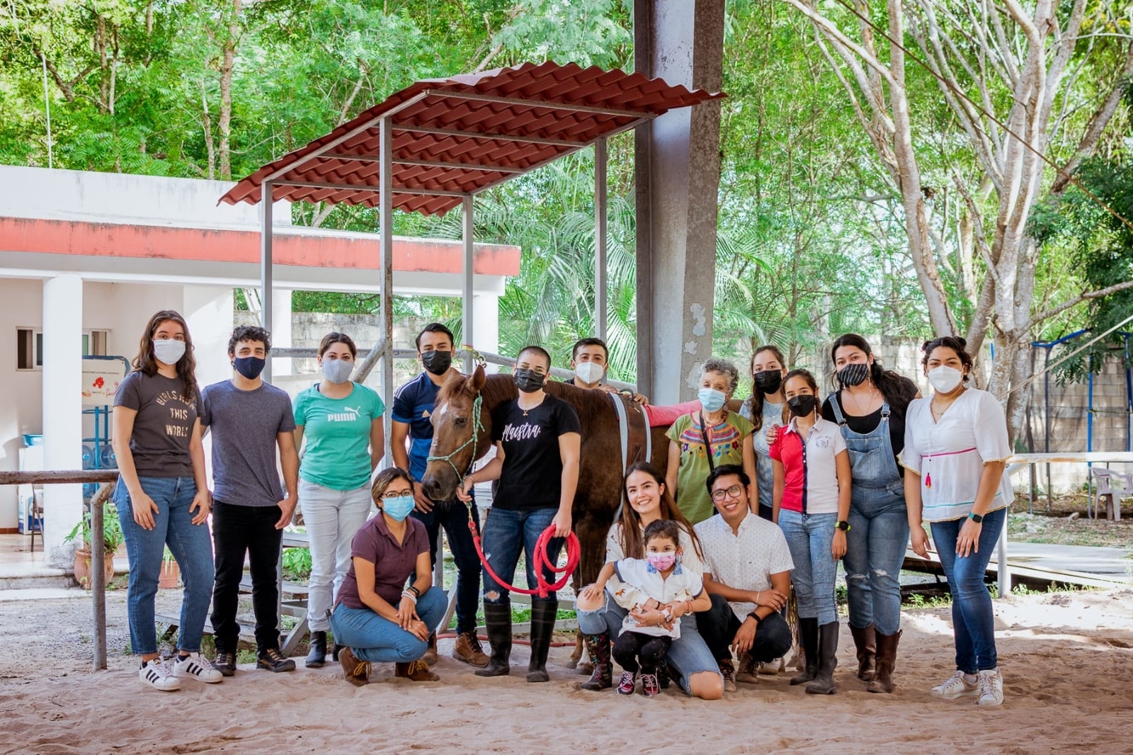 Equinoterapia: fomenta el desarrollo integral de las personas con discapacidad