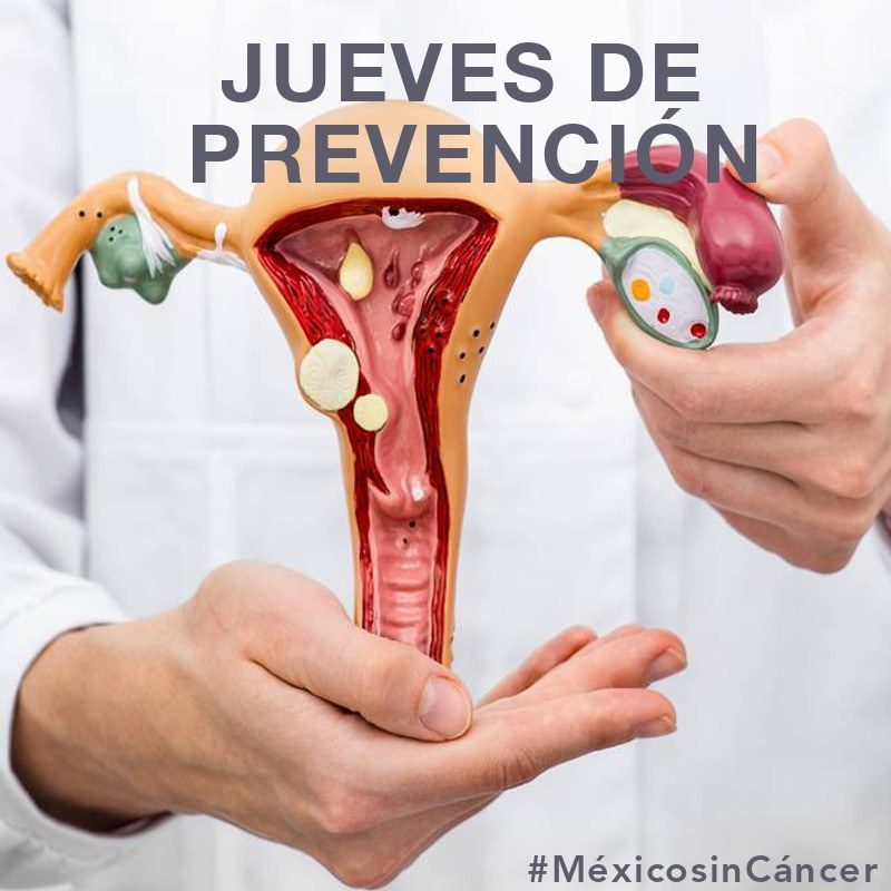 Fundación Díaz Perches: una alternativa para enfrentar el cáncer en México