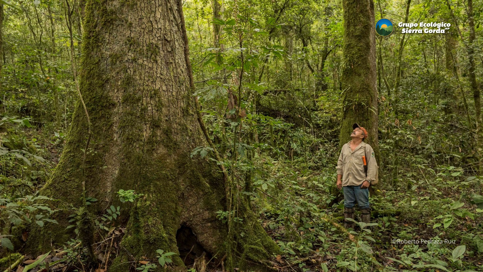 Sierra Gorda protege el corazón de México