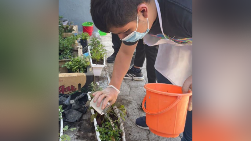 Niños y jóvenes con autismo cultivan y venden plantas medicinales