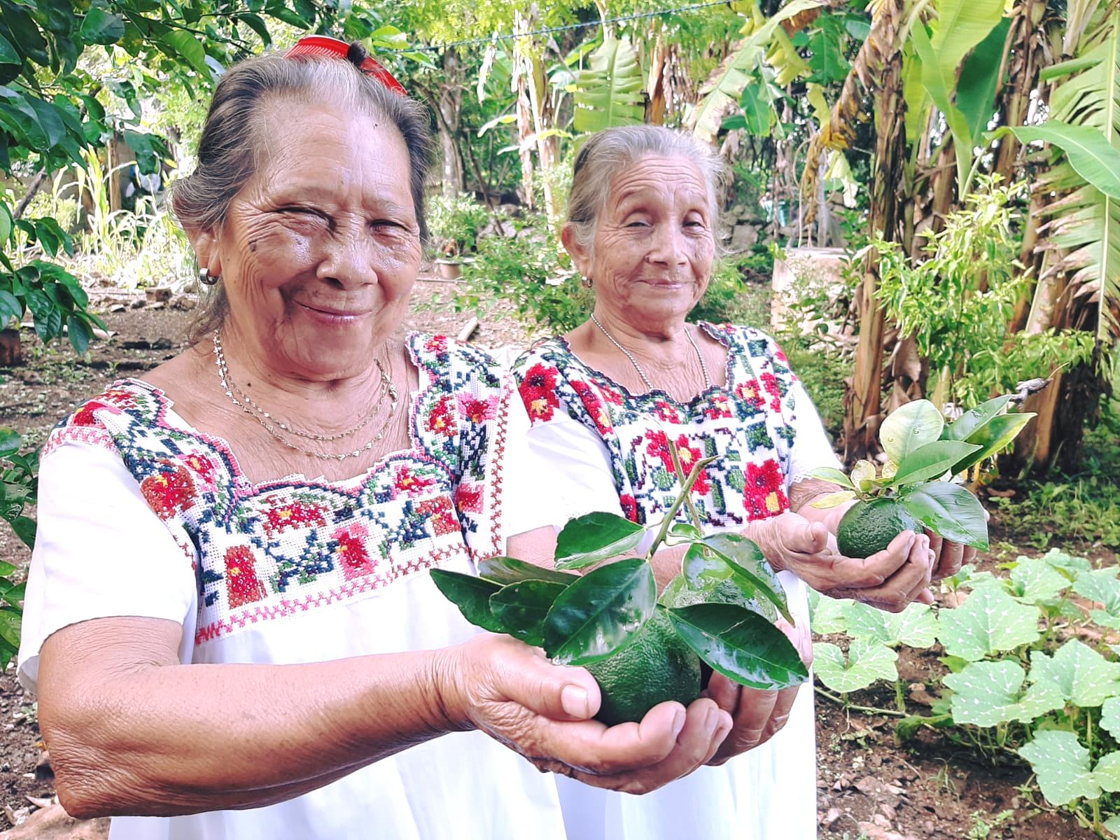 Haciendas del Mundo Maya: Al rescate de las comunidades de la península de Yucatán