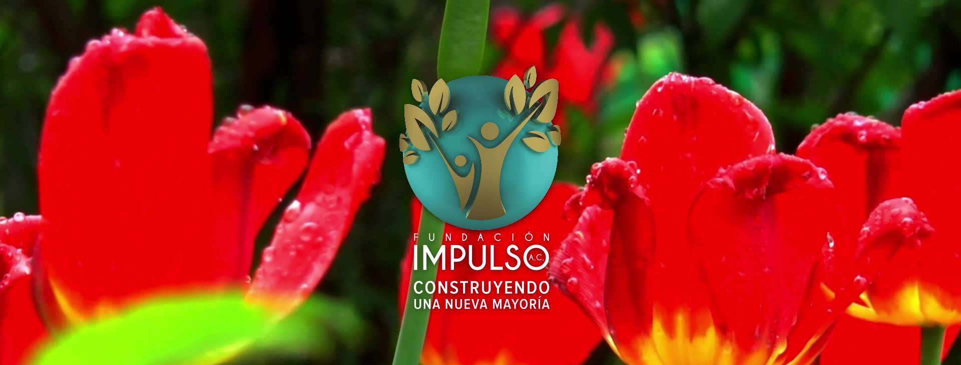 Fundación Impulso: Plantan un árbol y salvan al mundo