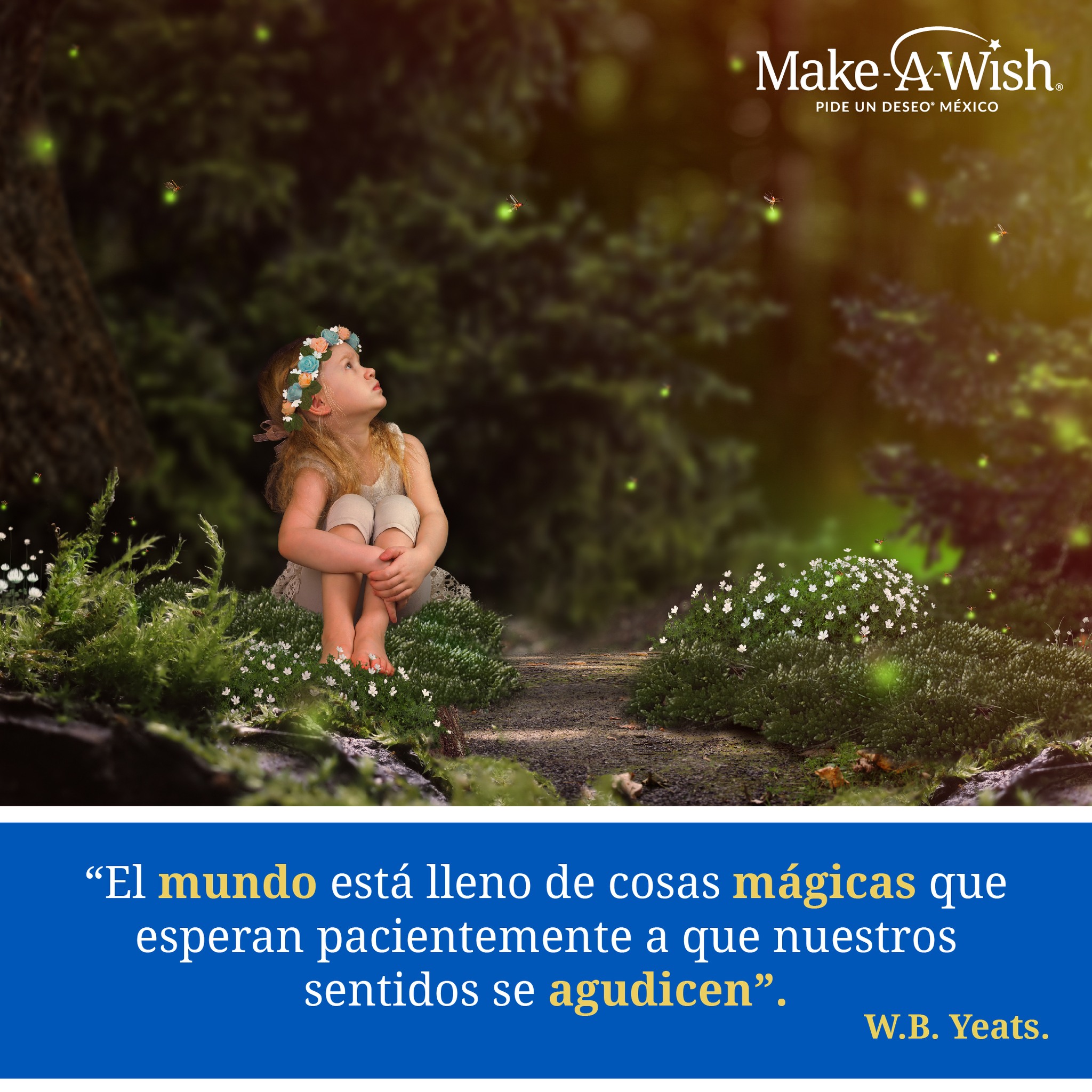Make a Wish: Pide un deseo para México