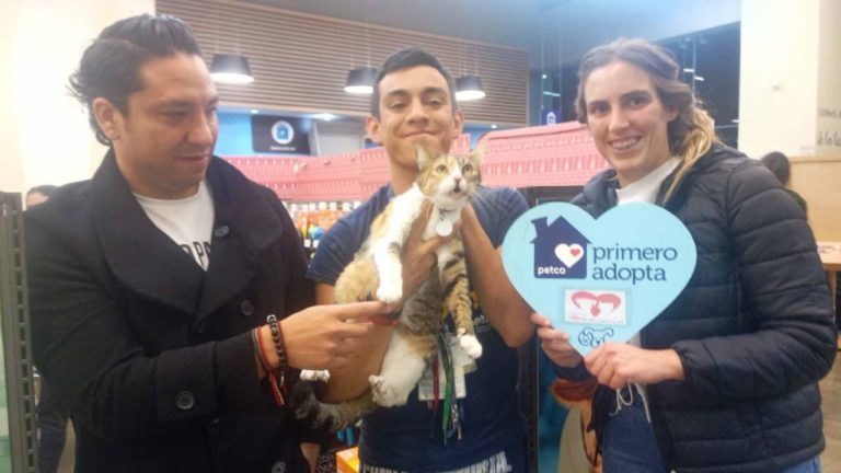 Asistencia Privada da en adopción animales en situación de calle