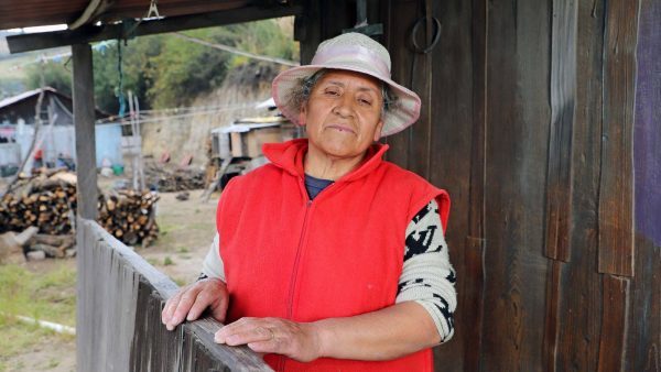 Mujeres de las IAP recibirán donativo de prendas de vestir