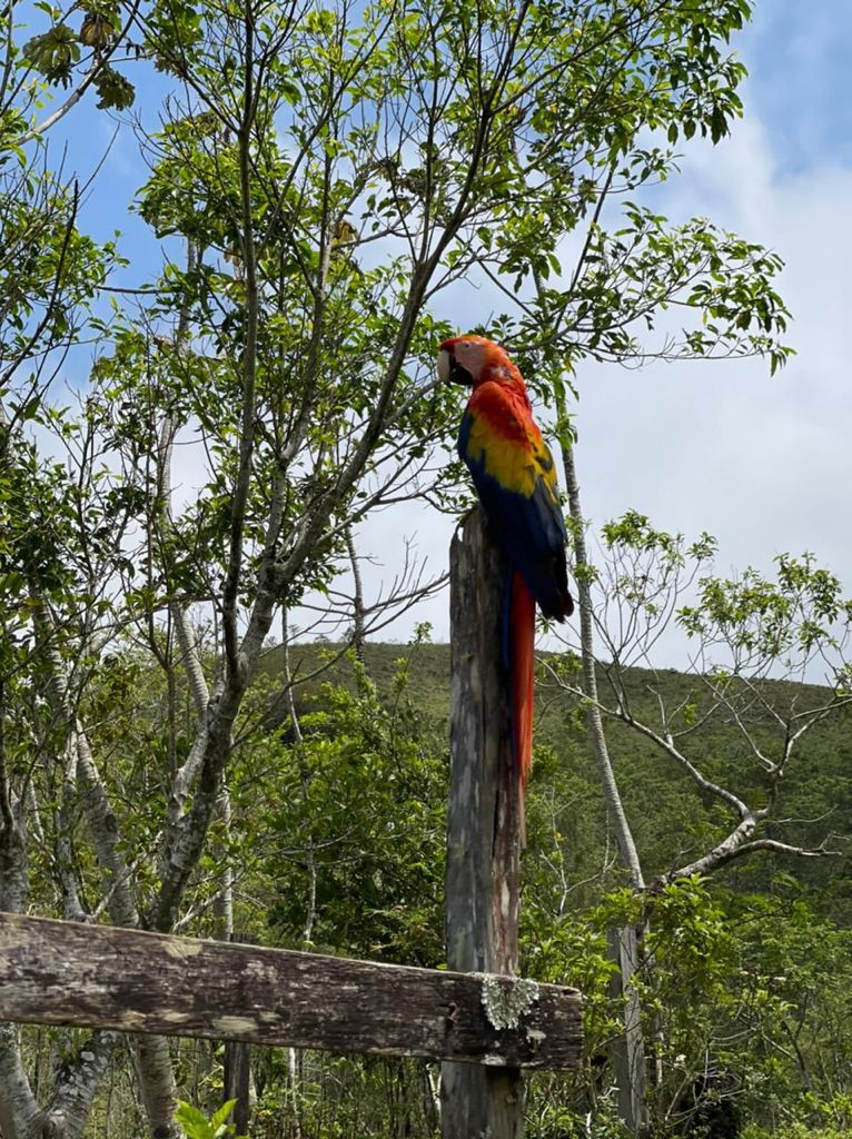 Por el cuidado de la flora y fauna: La Otra Opción