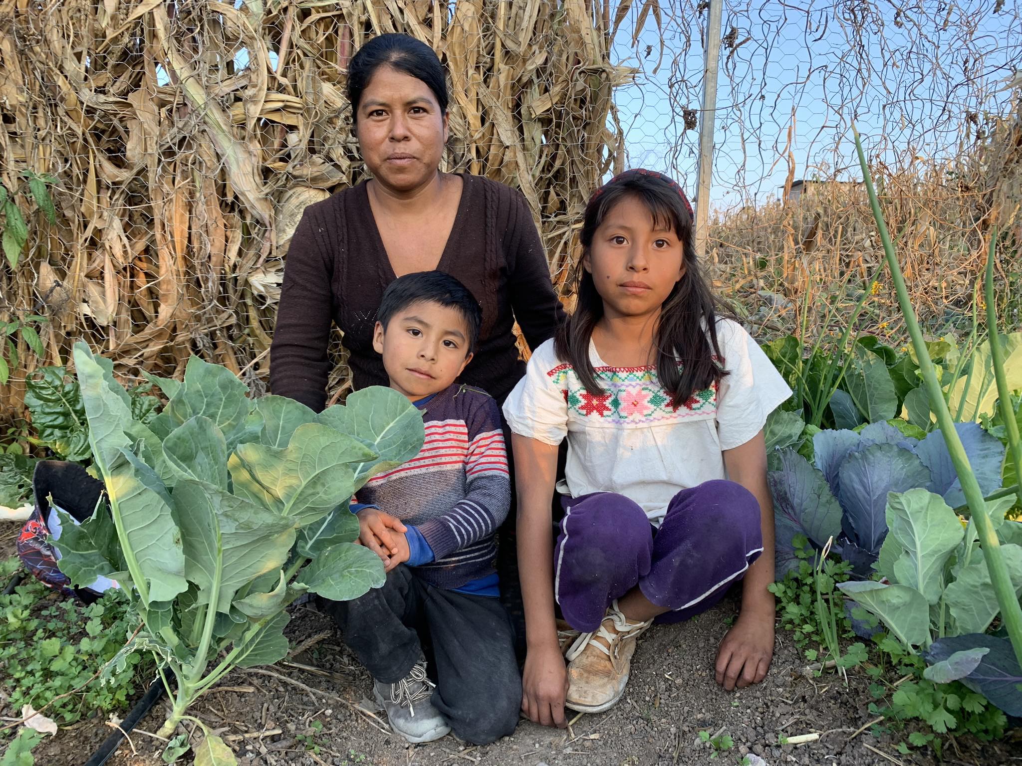 Desde hace 30 años: Nutre a un niño apoya a comunidades marginadas