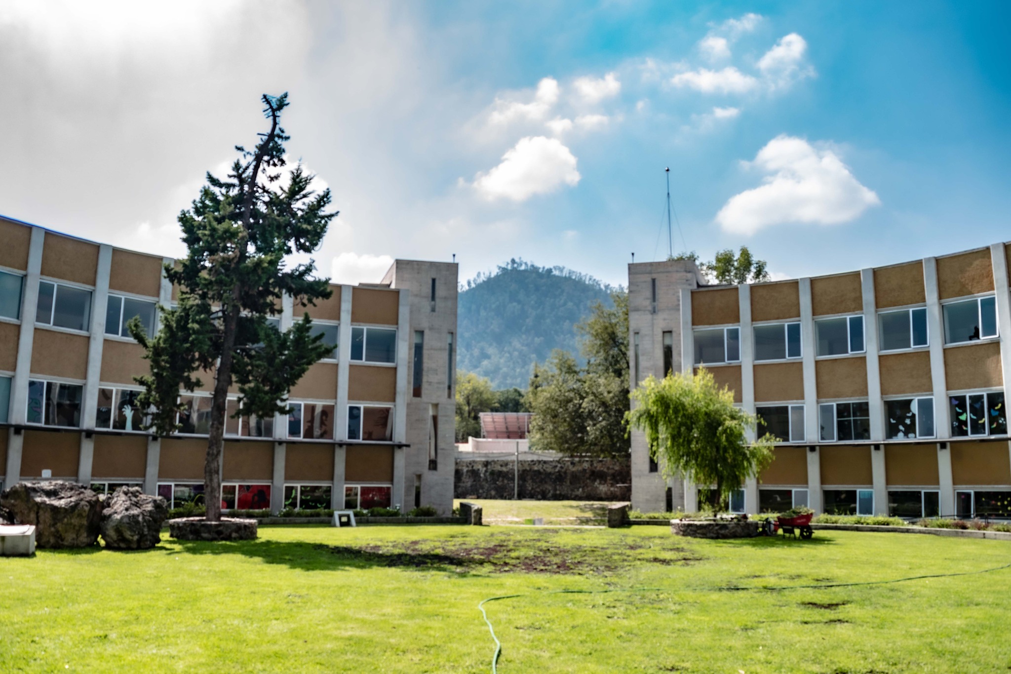 Casa Alianza México: Un hogar seguro para los jóvenes sin hogar