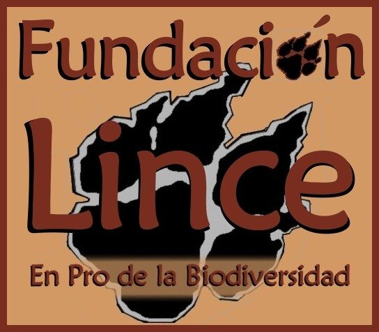 Fundación Lince: Una iniciativa en pro de la biodiversidad y su preservación