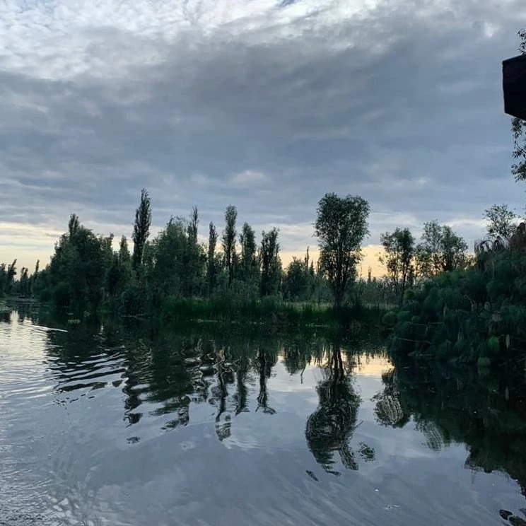 ¡A salvar Xochimilco de la mano de REDES AC!